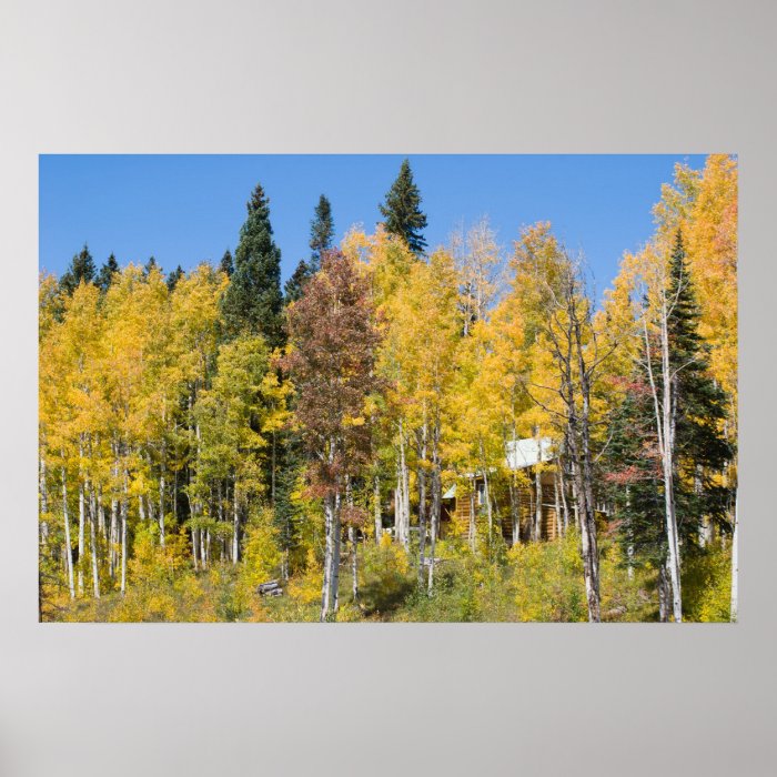 Autumn Trees Print