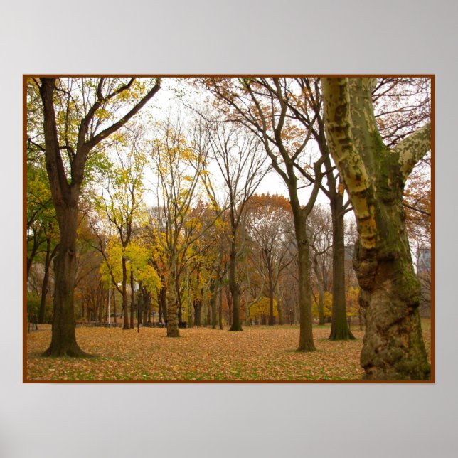 Autumn Trees Print New York Landscape Poster (Front)