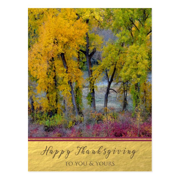 Autumn Trees River Scene Thanksgiving Postcard