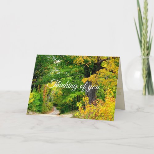 Autumn Trees Rural Photography Thinking of You Card