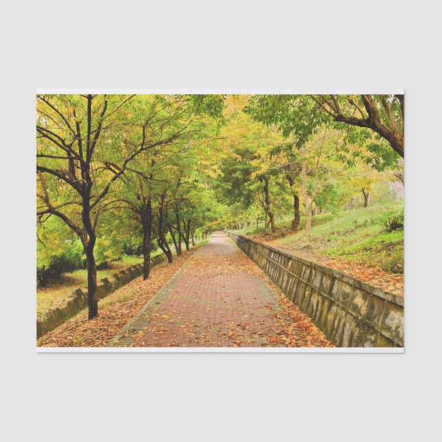 Autumn Trees Tissue Paper (Front)