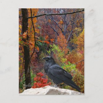 Autumn Trees With Crow Seasonal  Postcard by Susang6 at Zazzle