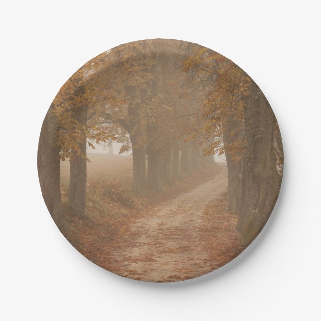 Autumn Trees Woodland Path Photo Paper Plates (Front)