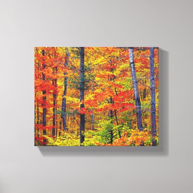 Autumn Trees Wrapped Canvas Print (Front)