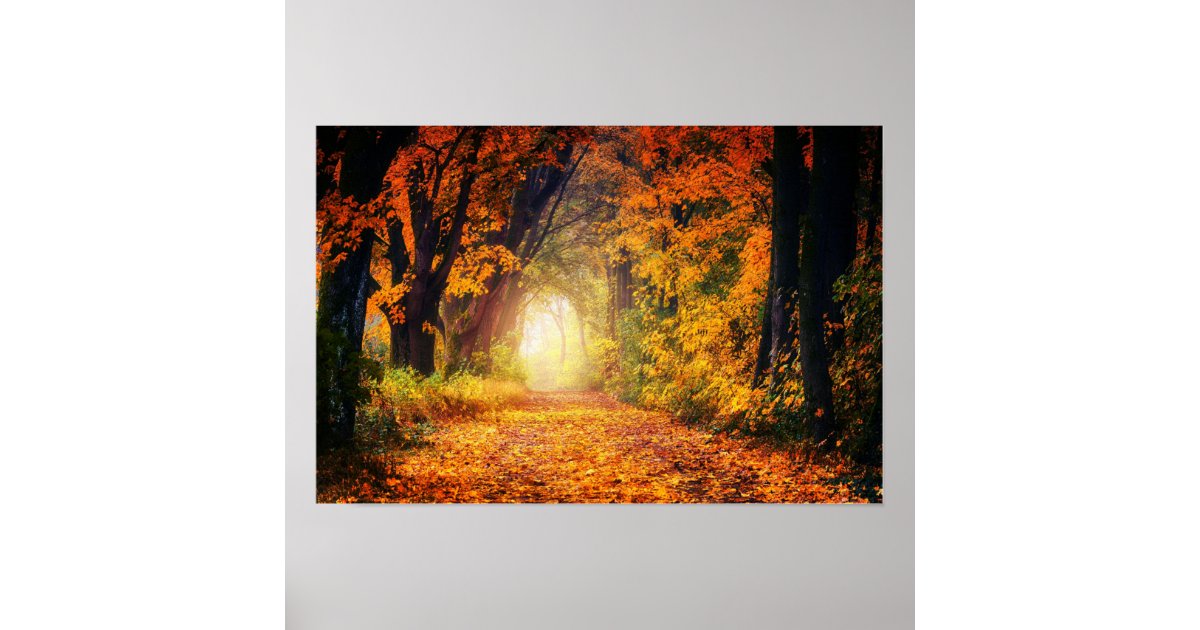 Autumn Tunnel Poster | Zazzle