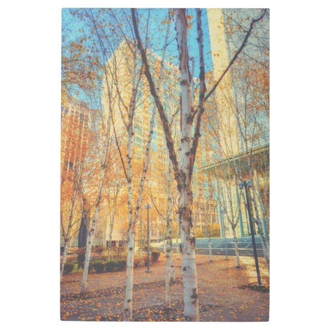 Autumn Urban Metal Print (Front)