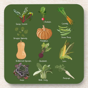 Autumn Veggies Fall Vegetable Harvest Beverage Coaster