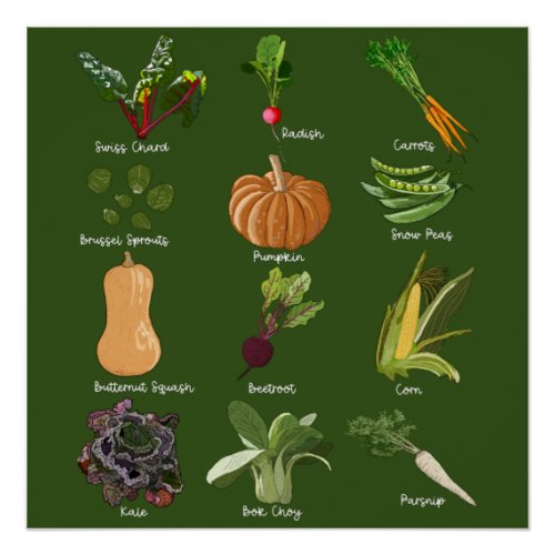Autumn Veggies Fall Vegetable Harvest Poster