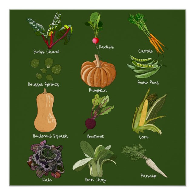 Autumn Veggies Fall Vegetable Harvest Poster (Front)