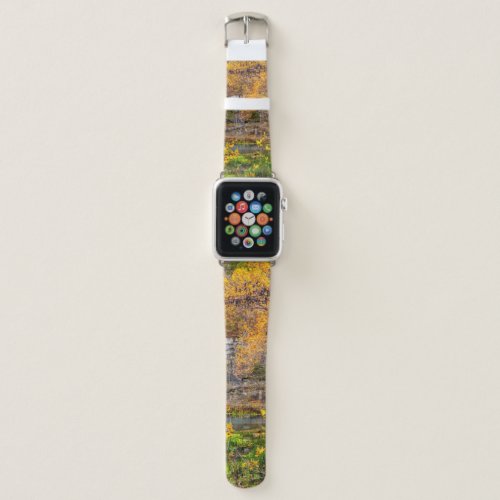 Autumn View Alley Spring Apple Watch Band