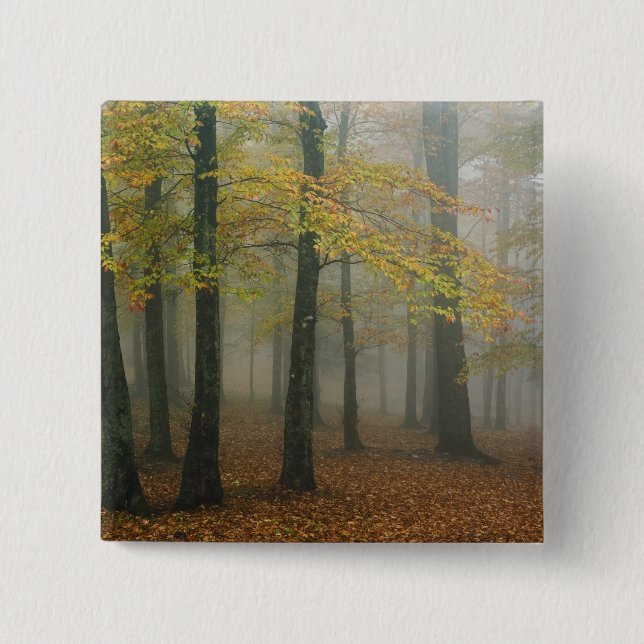 Autumn view of foggy forest, Grandfather 3 Button (Front)