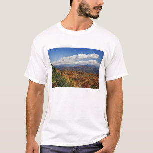 Autumn view of Southern Appalachian Mountains T-Shirt