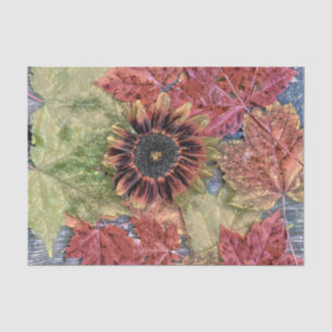 Autumn Vintage Sunflower Rustic Brown Maple Leaves Tissue Paper
