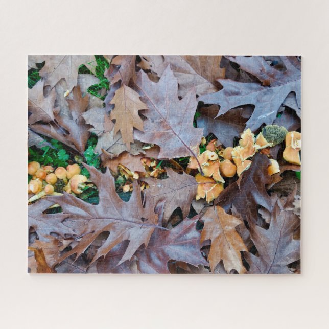 Autumn w/ yellow mushrooms and brown fallen leaves jigsaw puzzle (Horizontal)