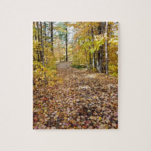 Autumn Walk in the Woods Jigsaw Puzzle