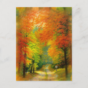 Autumn Walk Postcard