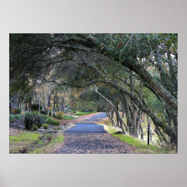 "Autumn Walk" Poster (Front)