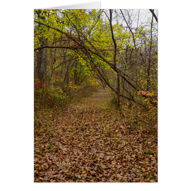 Autumn Walkway Greeting Card (Front)