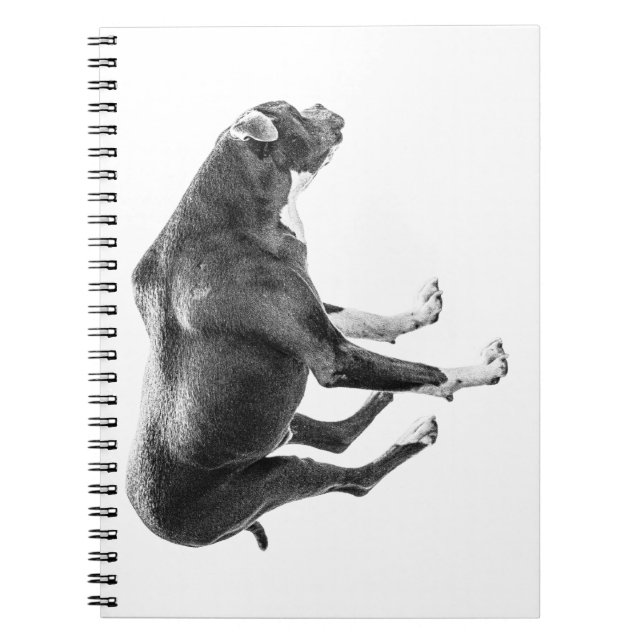 Autumn Watch Notes Notebook (Front)