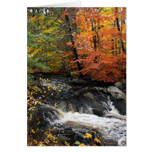 Autumn Waterfall Cards (Front)