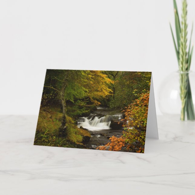 Autumn Waterfall Greetings Card (Front)
