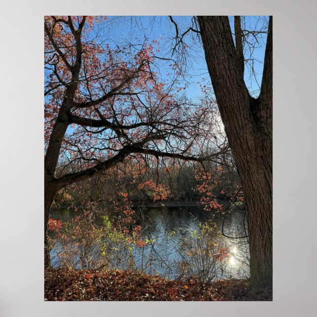 Autumn Waterscape Photo Poster (Front)