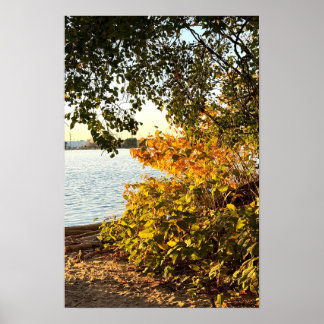 Autumn Waterscape Poster