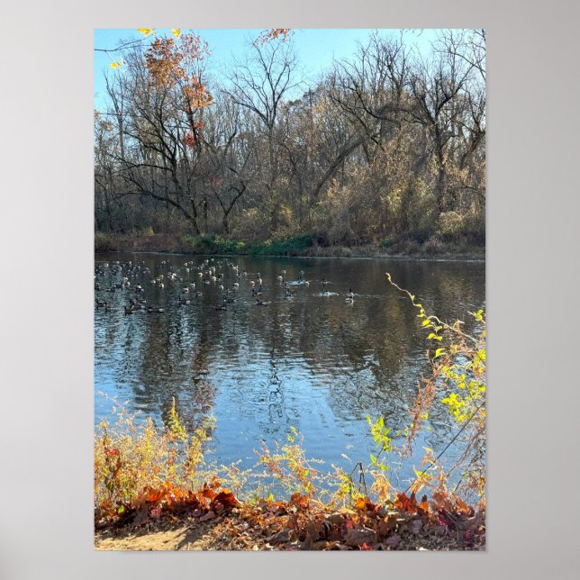 Autumn Waterscape Poster (Front)