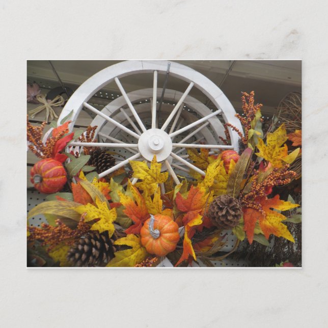 Autumn Wheel Postcard (Front)