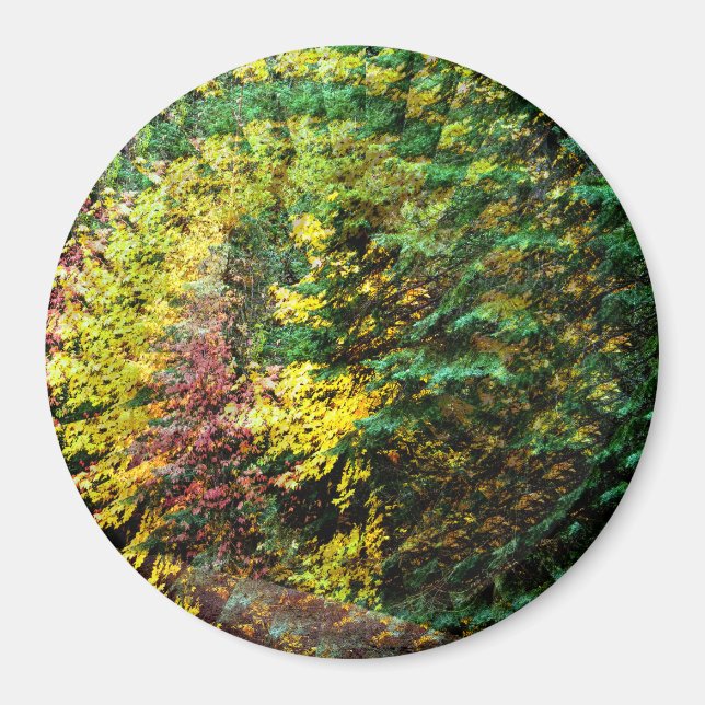 Autumn Whirlwind....... Magnet (Front)