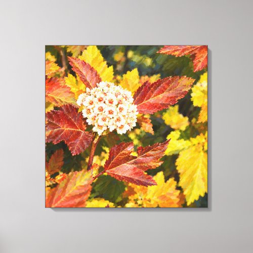 Autumn White Blossoms in Crimson and Gold Canvas Print