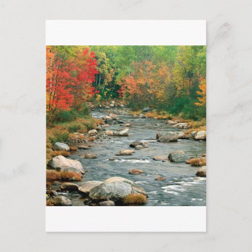 Autumn White Mountains New Hampshire Postcard