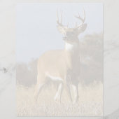 Autumn Whitetail Buck (Front)