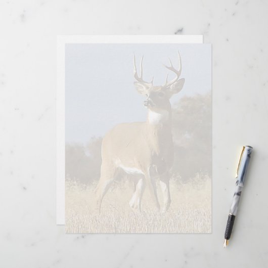 Autumn Whitetail Buck (Front/Back In Situ)