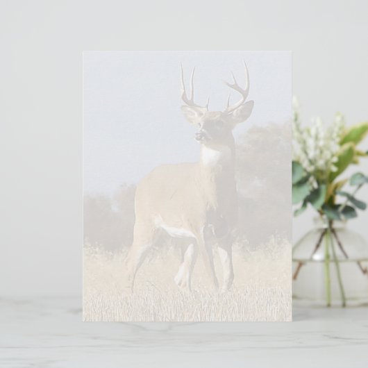 Autumn Whitetail Buck (Standing Front)