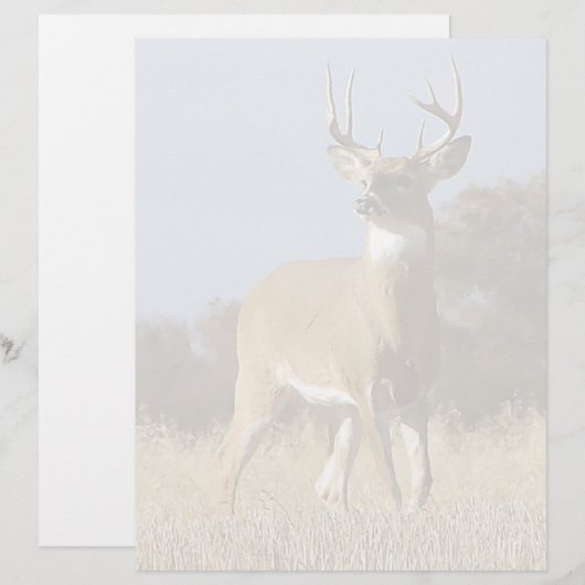 Autumn Whitetail Buck (Front/Back)
