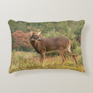 Autumn Whitetail Buck Accent Pillow