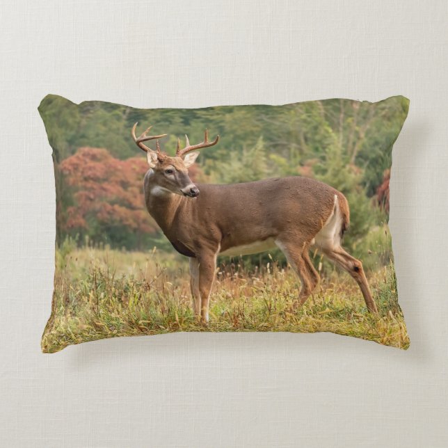 Autumn Whitetail Buck Accent Pillow (Front)