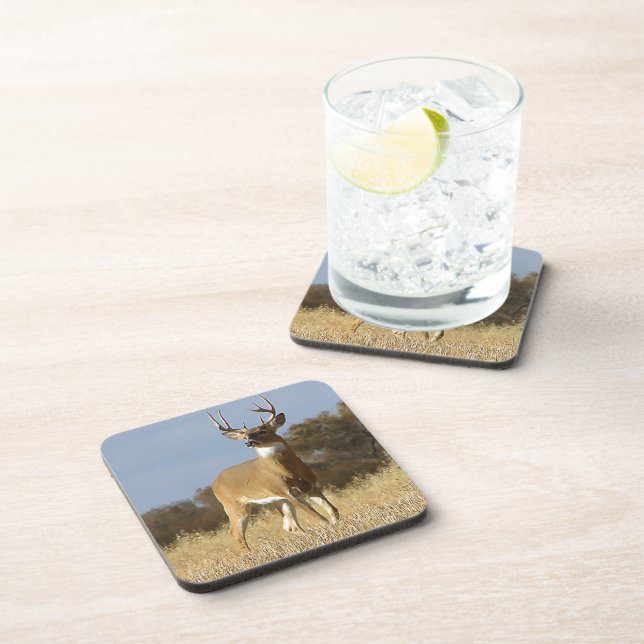 Autumn Whitetail Buck Beverage Coaster (Right Side)