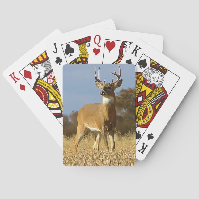 Autumn Whitetail Buck Poker Cards (Back)