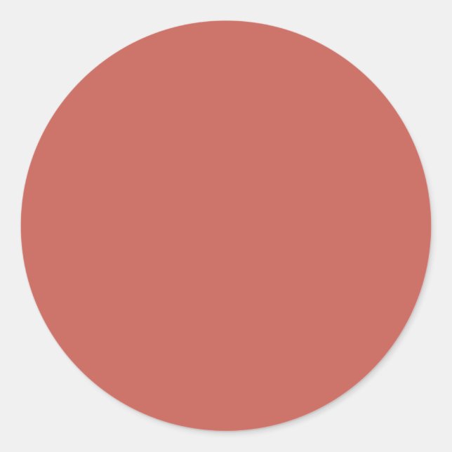 Autumn Winter Color Burnt Sienna Classic Round Sticker (Front)
