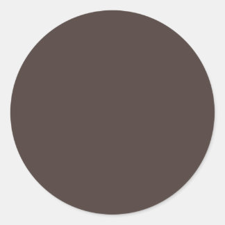 Autumn Winter Color Hot Fudge Classic Round Sticker