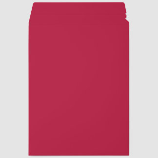 Autumn Winter Color Viva Magenta Envelope Mailers