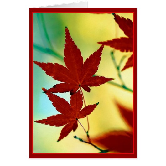 AUTUMN WISHES CARDS (Front)