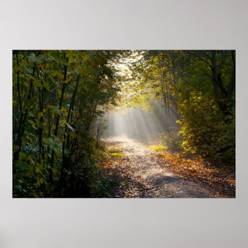 Autumn Woodland Path with Sunrays Poster