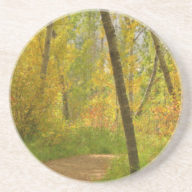 Autumn Woodlands Drink Coaster (Front)