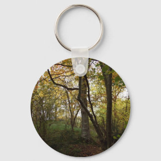 Autumn Woods Keychain