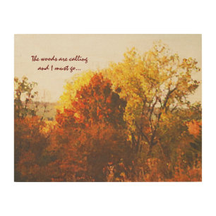 Autumn Woods Nature Landscape with Quote Wood Wall Art