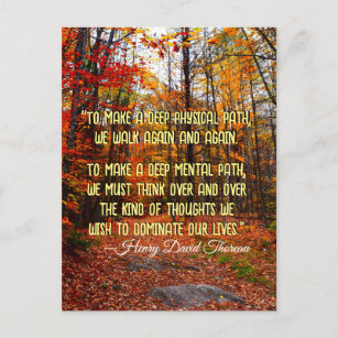 Autumn Woods New Hampshire Motivational Quote Postcard