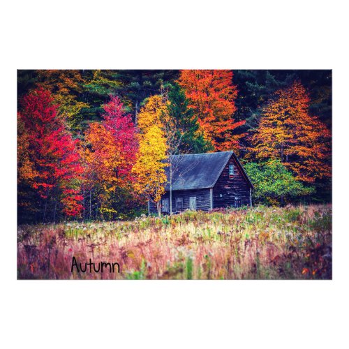 Autumn Woods Shack Photo Print